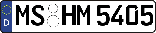 MS-HM5405