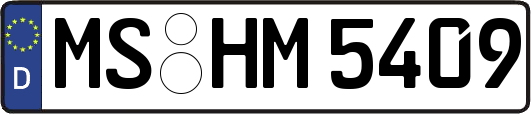 MS-HM5409