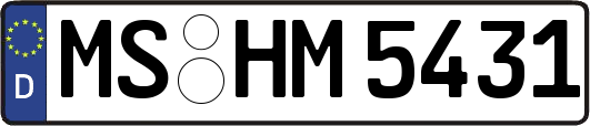 MS-HM5431
