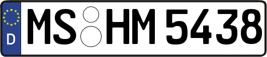 MS-HM5438