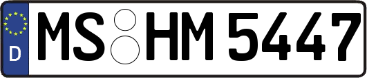 MS-HM5447