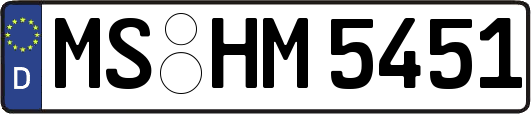 MS-HM5451