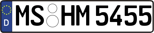 MS-HM5455