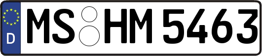 MS-HM5463