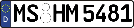 MS-HM5481