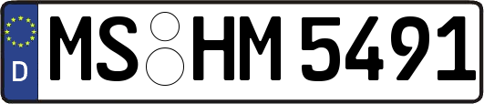 MS-HM5491