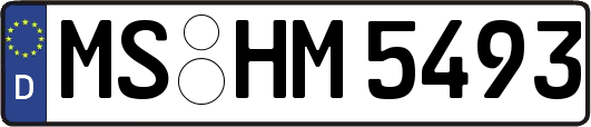 MS-HM5493