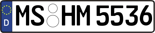 MS-HM5536