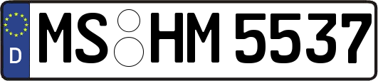 MS-HM5537