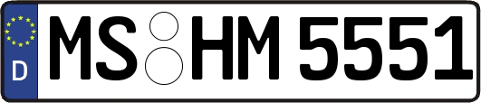 MS-HM5551