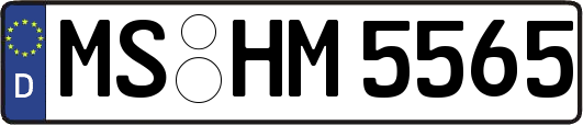 MS-HM5565