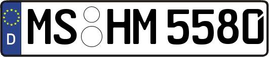 MS-HM5580