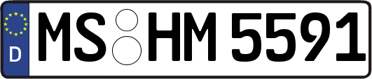MS-HM5591