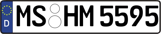 MS-HM5595