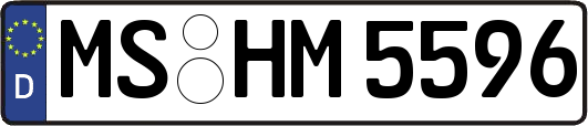 MS-HM5596
