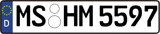MS-HM5597