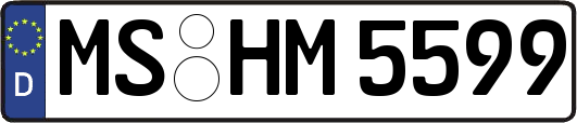 MS-HM5599