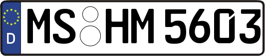 MS-HM5603