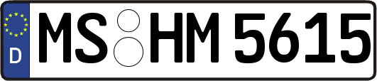 MS-HM5615