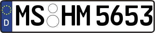 MS-HM5653