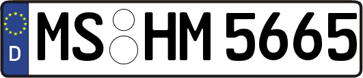 MS-HM5665