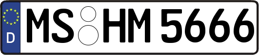MS-HM5666