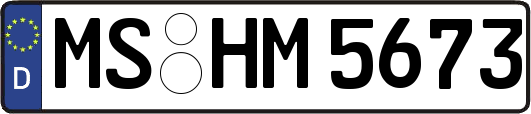 MS-HM5673