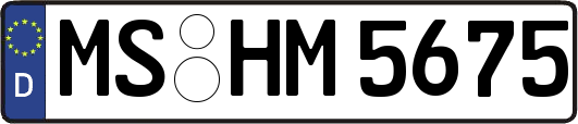 MS-HM5675