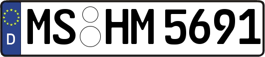 MS-HM5691
