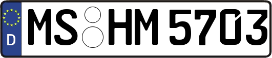 MS-HM5703