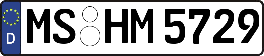 MS-HM5729