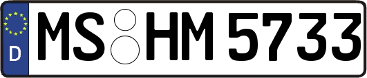 MS-HM5733