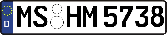 MS-HM5738