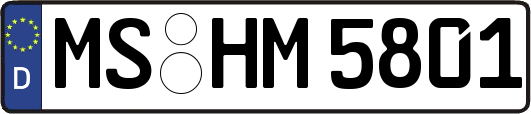MS-HM5801