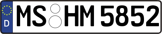 MS-HM5852