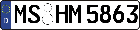 MS-HM5863