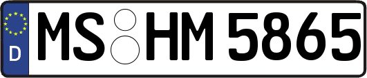 MS-HM5865