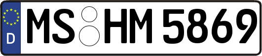 MS-HM5869