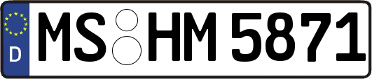MS-HM5871