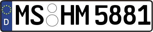 MS-HM5881