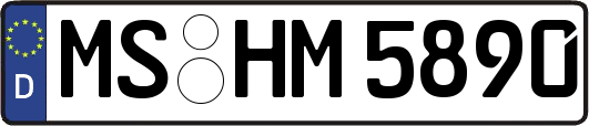 MS-HM5890