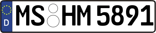 MS-HM5891