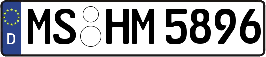 MS-HM5896