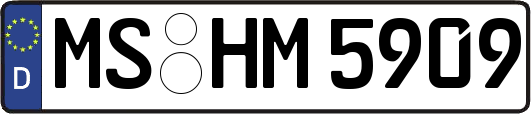MS-HM5909