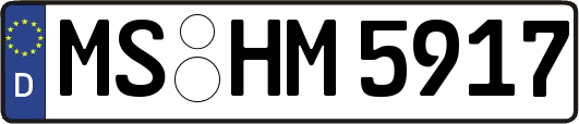 MS-HM5917
