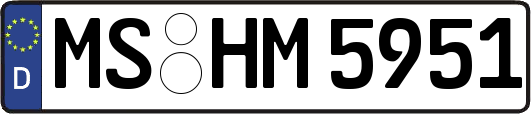 MS-HM5951
