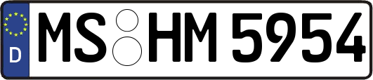 MS-HM5954