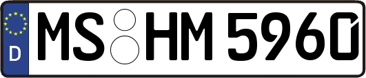 MS-HM5960