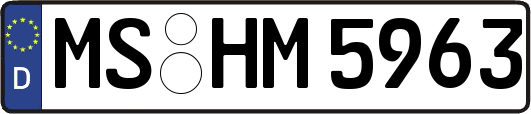 MS-HM5963