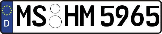 MS-HM5965
